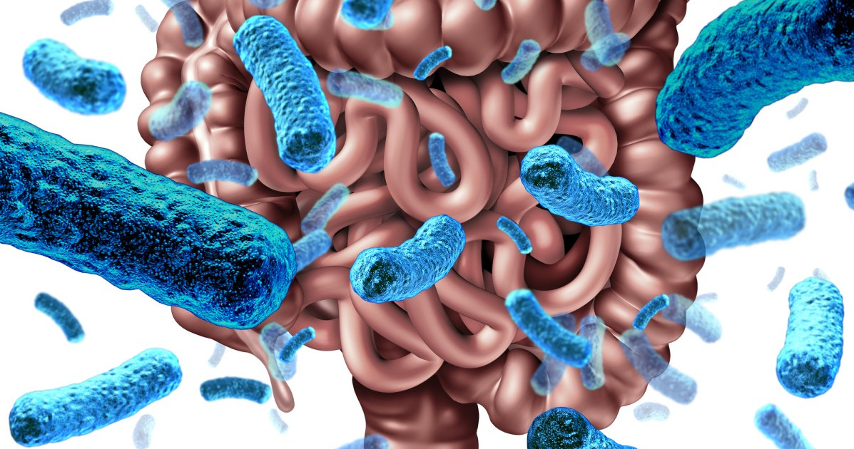 Lo sapevi che la tua salute dipende anche dai batteri dell’intestino?