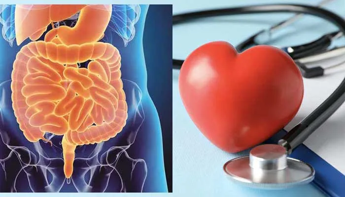 Microbiota intestinale e scompenso cardiaco: come la salute dell’intestino può influenzare quella del cuore
