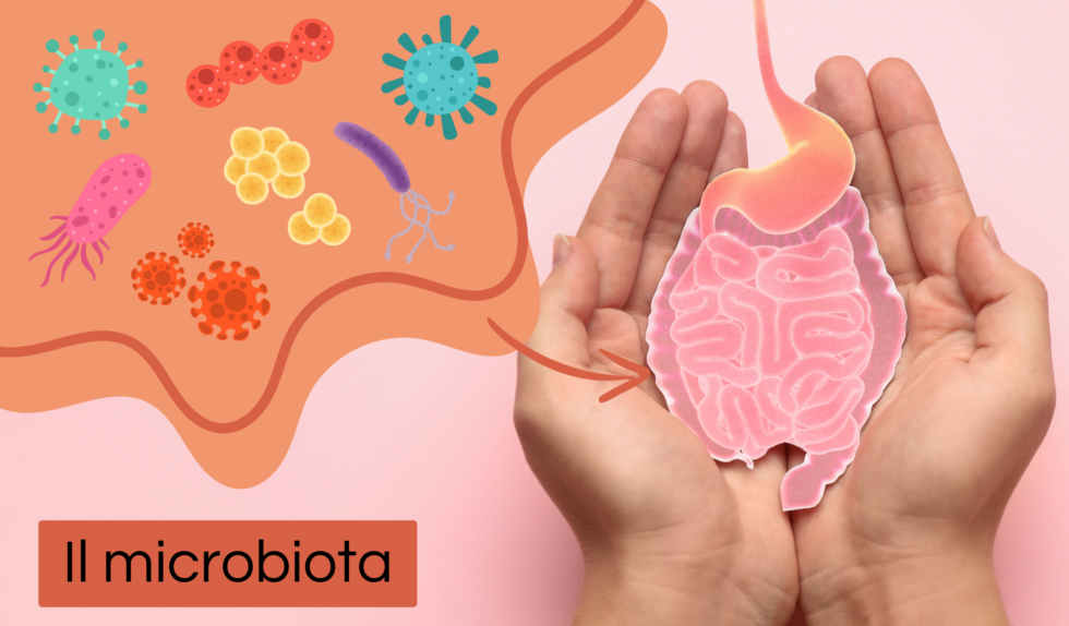 Microbiota intestinale e sviluppo delle ossa: esiste un “asse intestino-osso”?