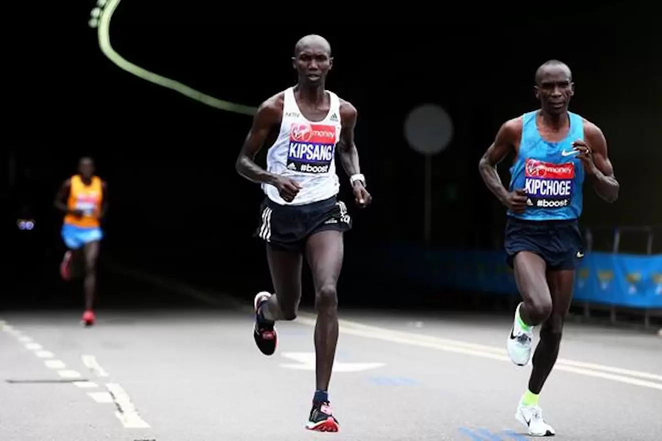 Maratona e stress degli organi: cosa succede a reni e intestino durante una gara di 42 km?